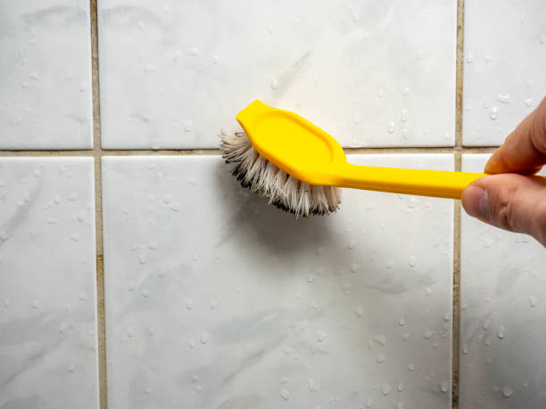 Best Attic Mold Removal  in Carter, TX