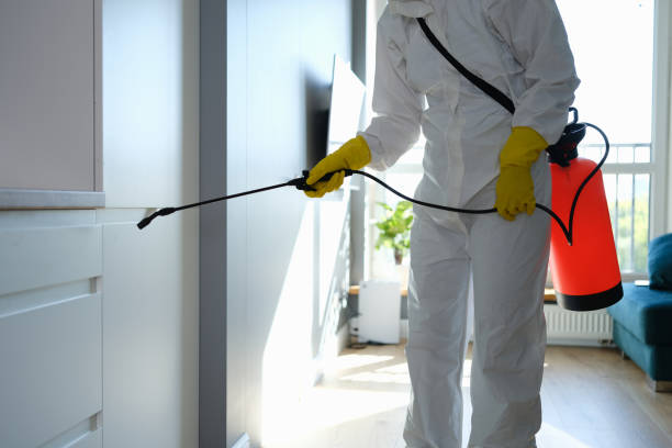 Best Mold Removal Near Me  in Carter, TX